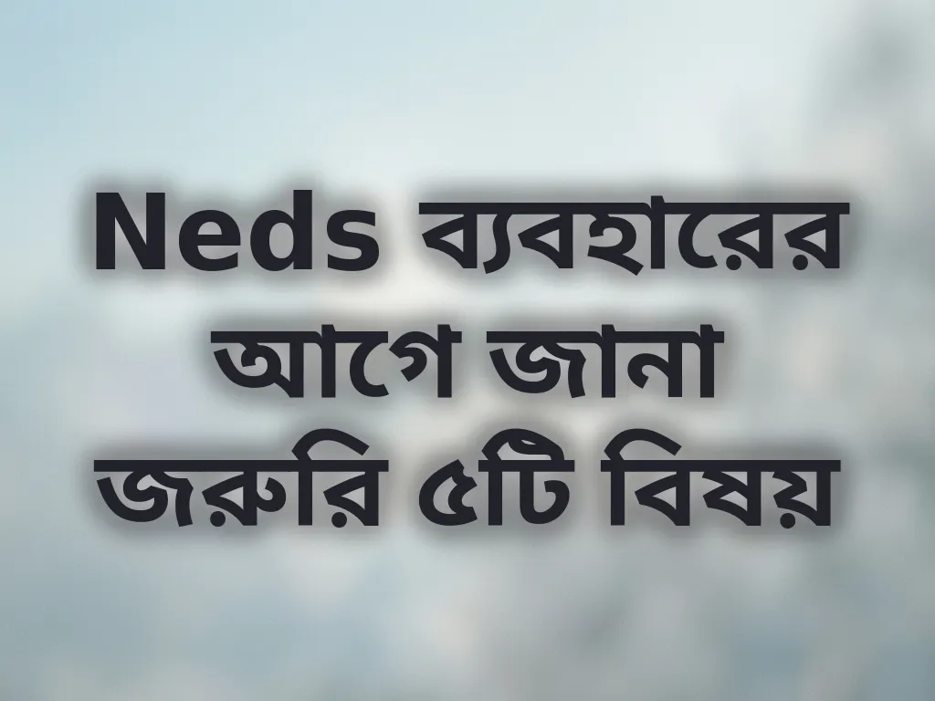 Neds রিভিউ গাইড